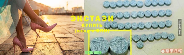 прущие грибы Гусиноозёрск