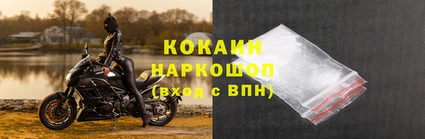 СК Горняк