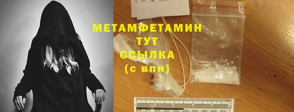 прущие грибы Гусиноозёрск