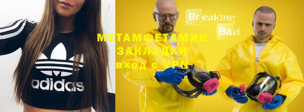 ПСИЛОЦИБИНОВЫЕ ГРИБЫ Гусев