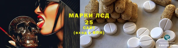 прущие грибы Гусиноозёрск