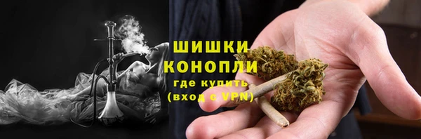 СК Горняк