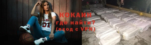 ПСИЛОЦИБИНОВЫЕ ГРИБЫ Гусев