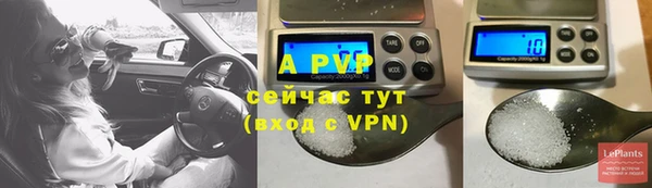 ПСИЛОЦИБИНОВЫЕ ГРИБЫ Гусев