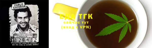 ПСИЛОЦИБИНОВЫЕ ГРИБЫ Гусев