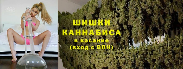 тгк Дмитриев