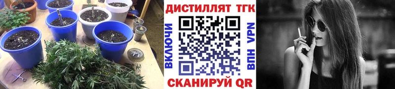 наркота  mega зеркало  ТГК гашишное масло  Новосибирск 
