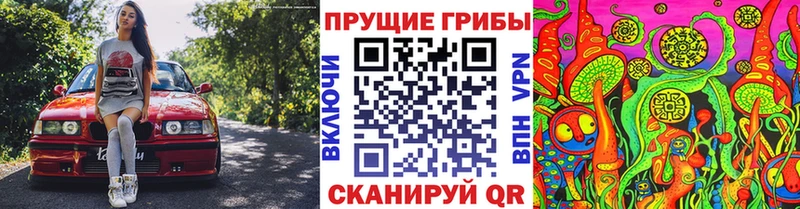 Галлюциногенные грибы ЛСД  продажа наркотиков  мега сайт  Новосибирск 